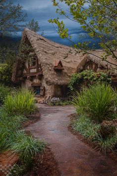 an old style house with a thatched roof in the middle of some bushes and trees