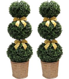 two potted plants with yellow bows on them