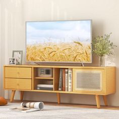 a flat screen tv sitting on top of a wooden entertainment center in a living room