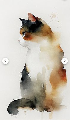 a watercolor painting of a cat sitting on top of a white sheet with circles around it