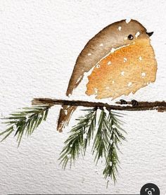 a watercolor painting of a bird perched on a branch with pine needles in the foreground