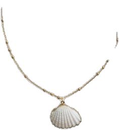 Dainty Clavicle Chain Necklace For Beach, White Delicate Chain Necklace For Beach, Dainty Shell Charm Necklace For Beach, Dainty Necklace With Delicate Chain For Beach, Dainty Shell Jewelry For Beach, Dainty Beach Necklace With Delicate Chain, Shell Necklaces With Adjustable Chain, Shell Necklace With Clavicle Chain As Gift, Shell Necklace With Clavicle Chain For Gift