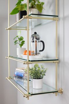 three glass shelves with plants and books on them