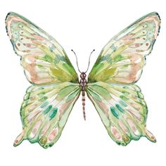 Soft Wings I Poster Print by Carol Robinson-VARPDX40092 Image 1 Poster Prints Colorful, Green Watercolor Art, Art Prints For Walls Aesthetic, Cute Dorm Posters, Simple Prints For Walls, Wall Prints Butterfly, Print Out Wall Art Aesthetic, Dorm Posters Art Prints, Water Colour Butterfly