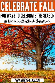 a tree with the words celebrate fall fun ways to celebrate the season in the middle school classroom