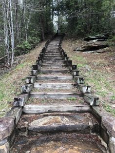 an old set of stairs in the woods