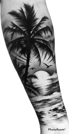 a black and white photo of a palm tree