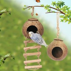 a bird sitting on top of a wooden bird house hanging from a tree branch with butterflies in the background