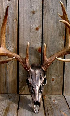 a deer's head mounted to the side of a wooden wall