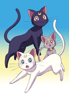 three cats standing on top of each other in front of a blue and yellow sky