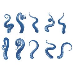 an image of blue snakes in different positions and sizes on a white background stock photo