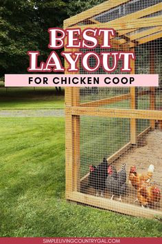 the best layout for chicken coops with text overlay that reads, best layout for chicken coop