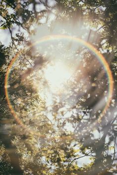 the sun shines through the branches of trees in front of some leaves and sky