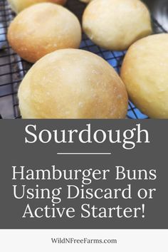 sourdough hamburger buns Homemade Sourdough Hamburger Buns, Easy Sourdough Hamburger Buns, Easy Sourdough Burger Buns, Sourdough Buns No Yeast, Gluten Free Sourdough Hamburger Buns, Sourdough Discard Hamburger Buns Easy, Sourdough Sub Buns, Hamburger Buns Sourdough, Sour Dough Breads