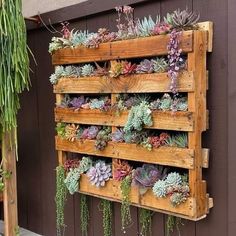 a wooden pallet filled with succulents and plants