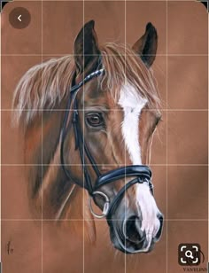 a painting of a brown horse with white head and bridle on it's face