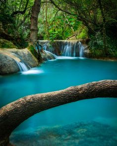 a river with blue water surrounded by trees and rocks in the woods, as well as a fallen tree branch