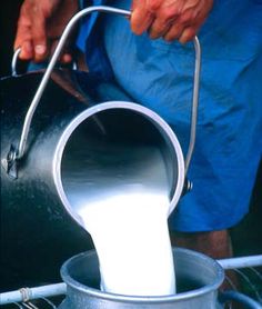 a person pouring milk into a metal pot