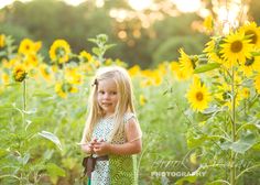 Sunflower photo shoot. Farmhouse Pictures, Sunflower Pictures, Bloomington Indiana