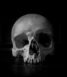 a black and white photo of a human skull