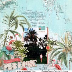 a collage of palm trees, flamingos and other tropical plants is featured in this image