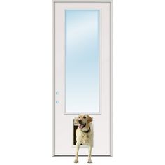 a dog standing in front of a white door with a mirror on it's side