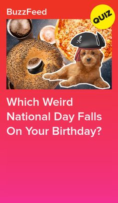 a dog wearing a pirate hat next to donuts and doughnuts with the words which weird national day falls on your birthday?