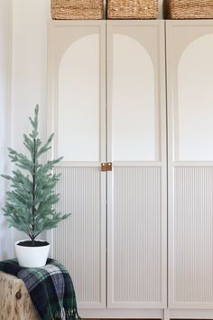 a small christmas tree in a white pot on a bench next to two large closet doors