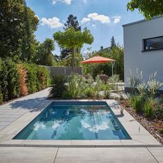 an empty swimming pool in the middle of a backyard with trees and shrubs around it