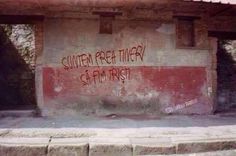 graffiti on the side of a building that says southern free turkey, san francisco with red spray paint