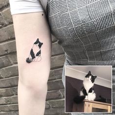 a black and white cat sitting on top of a table next to a woman's arm