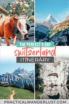 the perfect 5 day switzerland itinerary with pictures of mountains, trees and flowers