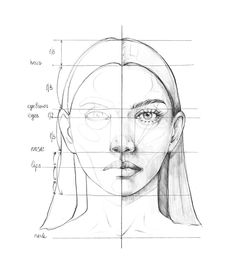 a pencil drawing of a woman's face with different angles and lines on it