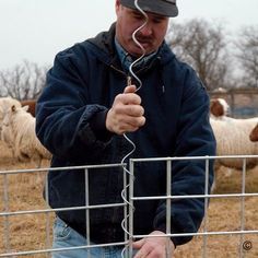 a man standing in front of a wire fence with sheep behind him and looking at the camera