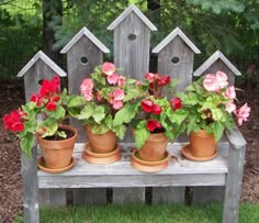 several potted flowers are sitting on a bench