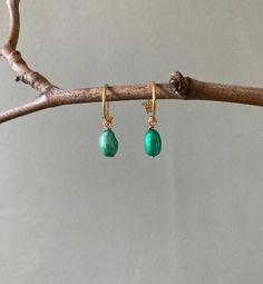 Rich blue-green freshwater pearls on 18k gold plated half hoop huggie earrings Mini Hoop Earrings, Garnet Earrings, Hanging Earrings, Pearl Earrings Dangle, Huggie Earrings, Gold Earrings Dangle, Elegant Jewelry, Natural Pearls, Minimalist Earrings