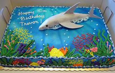 a birthday cake with a shark and corals on the bottom is in a box