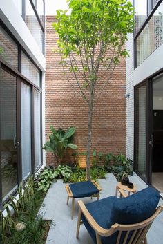 two chairs and a tree in the middle of a courtyard with plants on either side