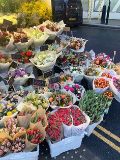 a bunch of flowers that are sitting on the ground