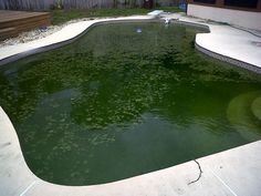 an empty pool with green algae growing in it