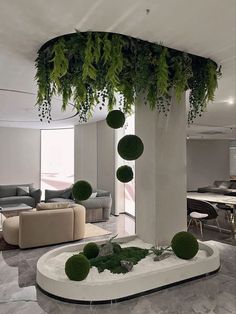 a living room filled with lots of furniture and plants hanging from the ceiling above it