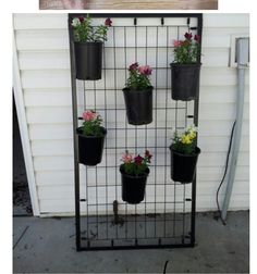 several potted plants are hanging on a metal rack