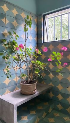 a potted plant sitting on top of a cement bench in front of a window