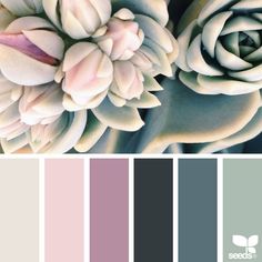 the color scheme is pink, grey and white with an image of a flower on it