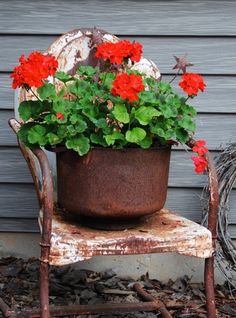 an old chair with flowers growing out of it