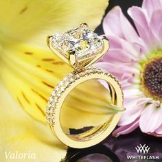 5.04ct G VVS2 Princess Lab Diamond set in Valoria Petite Pave Diamond Wedding Set