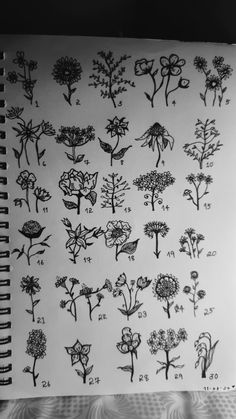 an open notebook with drawings of flowers and plants on it's side, in black and white