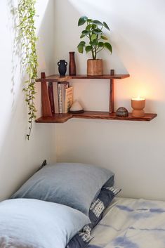 a bed with two shelves on the wall above it and a plant next to it