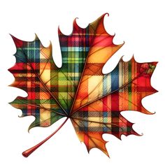 a colorful plaid maple leaf on a white background