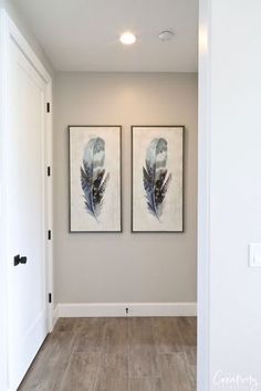 two paintings hanging on the wall in a hallway with wood flooring and white walls